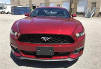 进口车市福特野马惊艳问世，再次的改款，新的外观设计，外观尺寸完美的升级，内饰空间也有了很大的提升，它从骨子里散发着一种野性，毫不矫揉