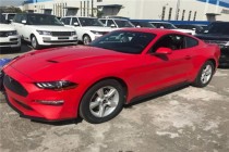 进口车市2018款福特野马整个车身的动感好像来自那匹奔驰的野马车标，黑色的蜂窝状散热格栅，更加衬托出镀铬车标的气势来。增加了许多弧型线条，