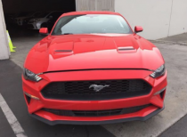 进口车市美式肌肉车的经典之作——福特野马，18款新车外形依旧那么放荡不羁。宽大的上下前脸进气隔栅，有助于发动机的有效散热。在一贯的肌肉车